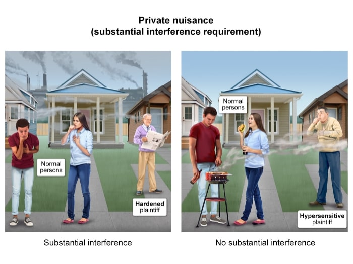 Illustration of a private nuisance.