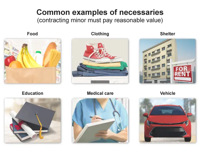 Illustration of common examples of necessaries