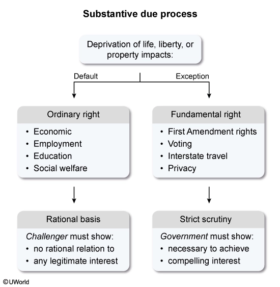  Flowchart depicting Substantive Due process