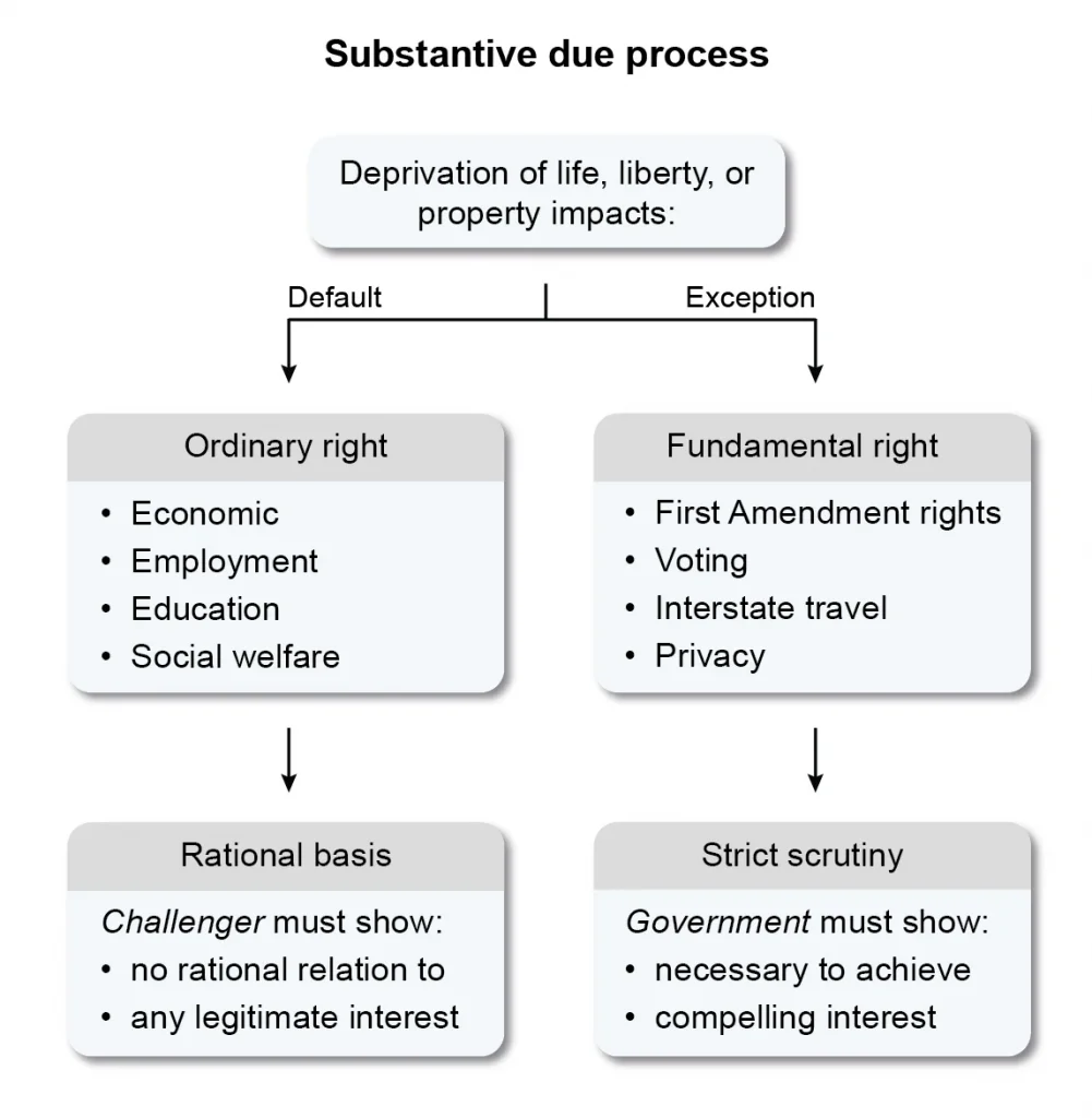 Substantive Due Process Flow chart
