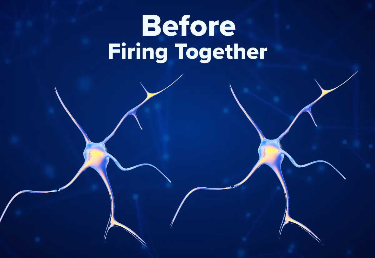 Neuroscience of active learning before firing together